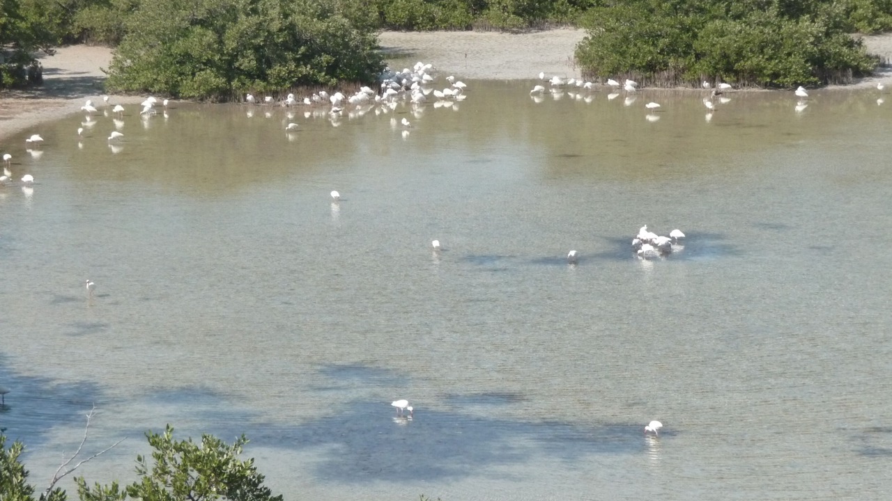 Photo of Others in Key West