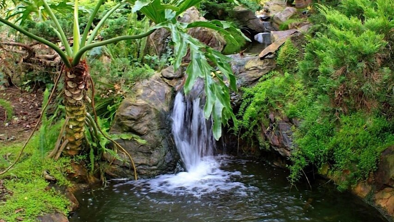 Photo of Outdoor in Townsite