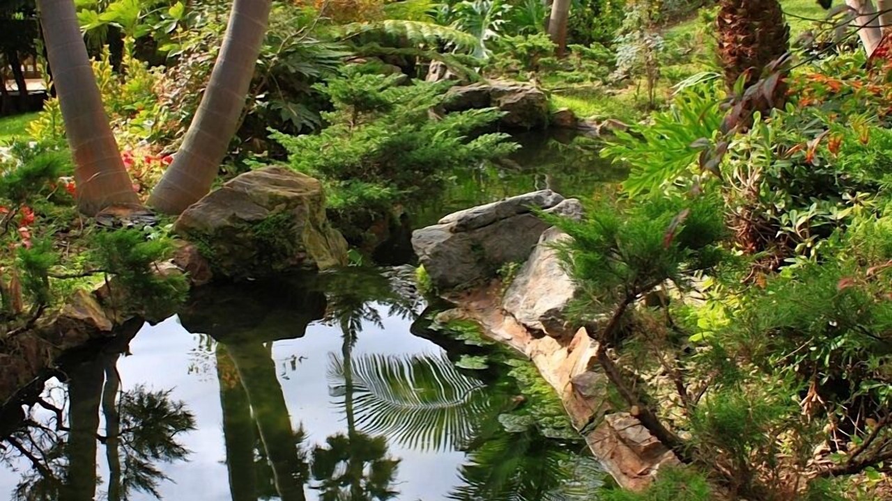 Photo of Outdoor in Townsite
