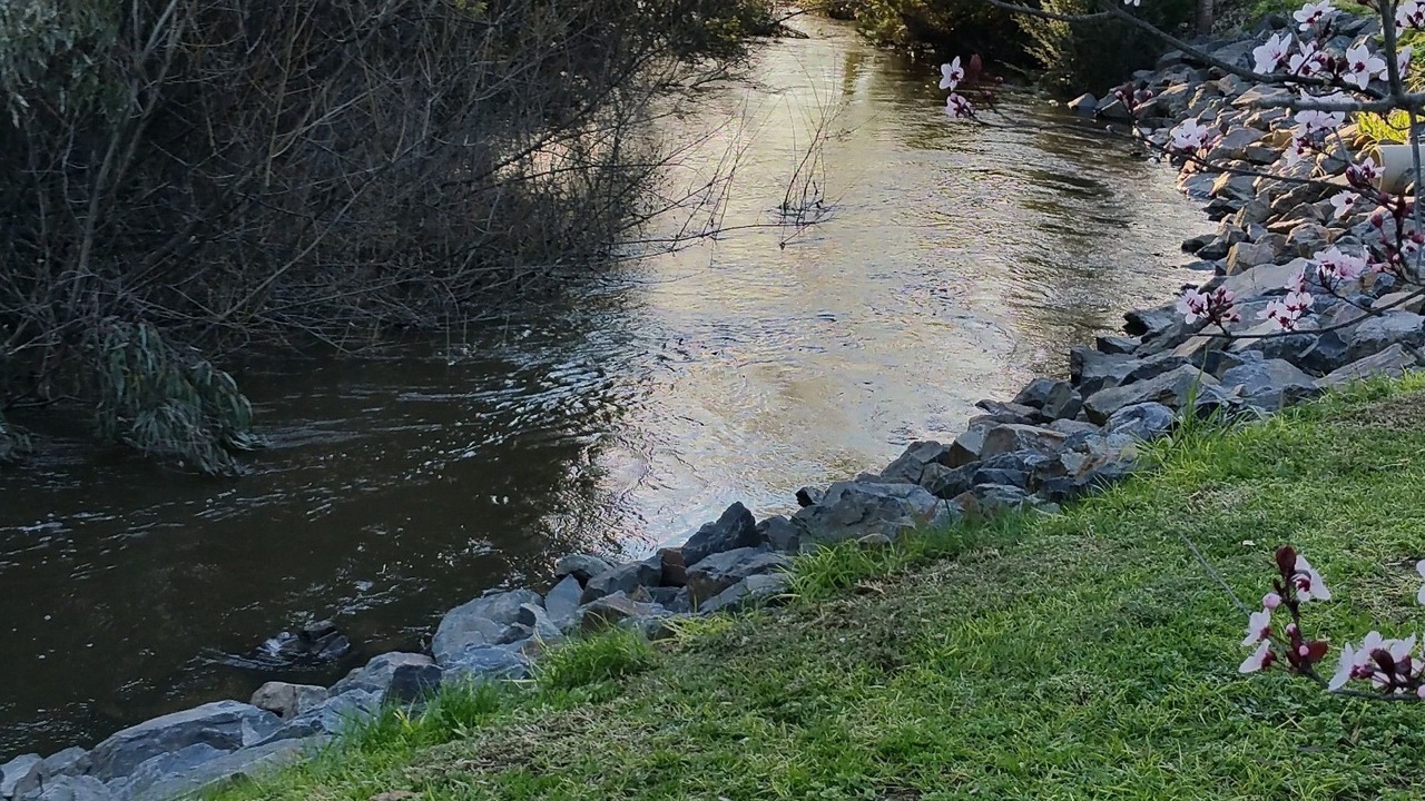 Photo of Outdoor in Yea