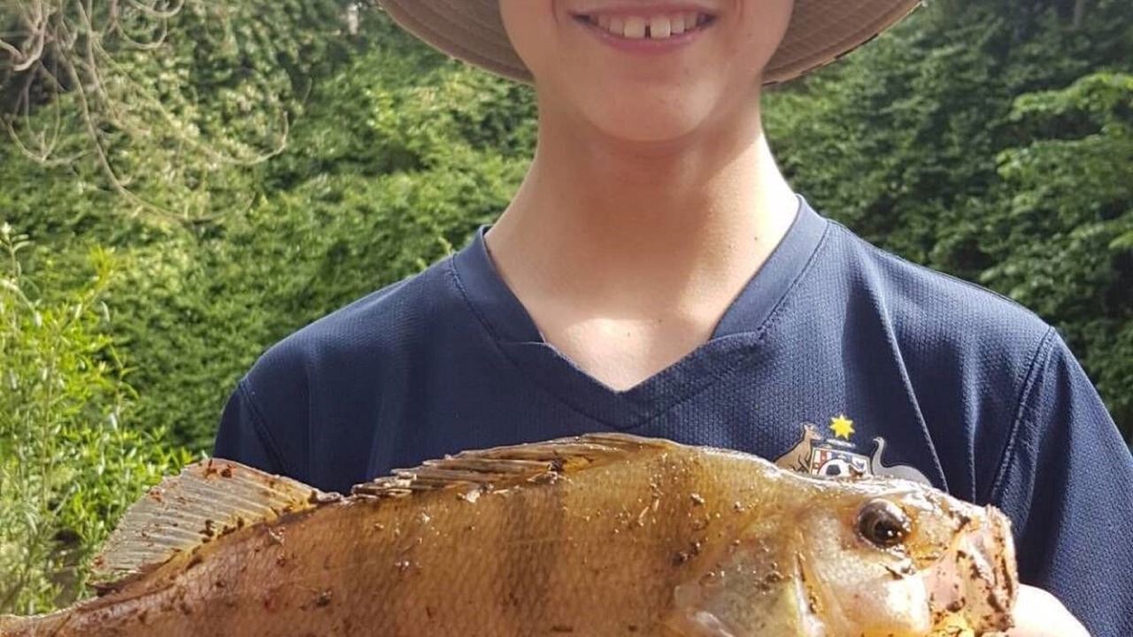 Photo of Others in Yea