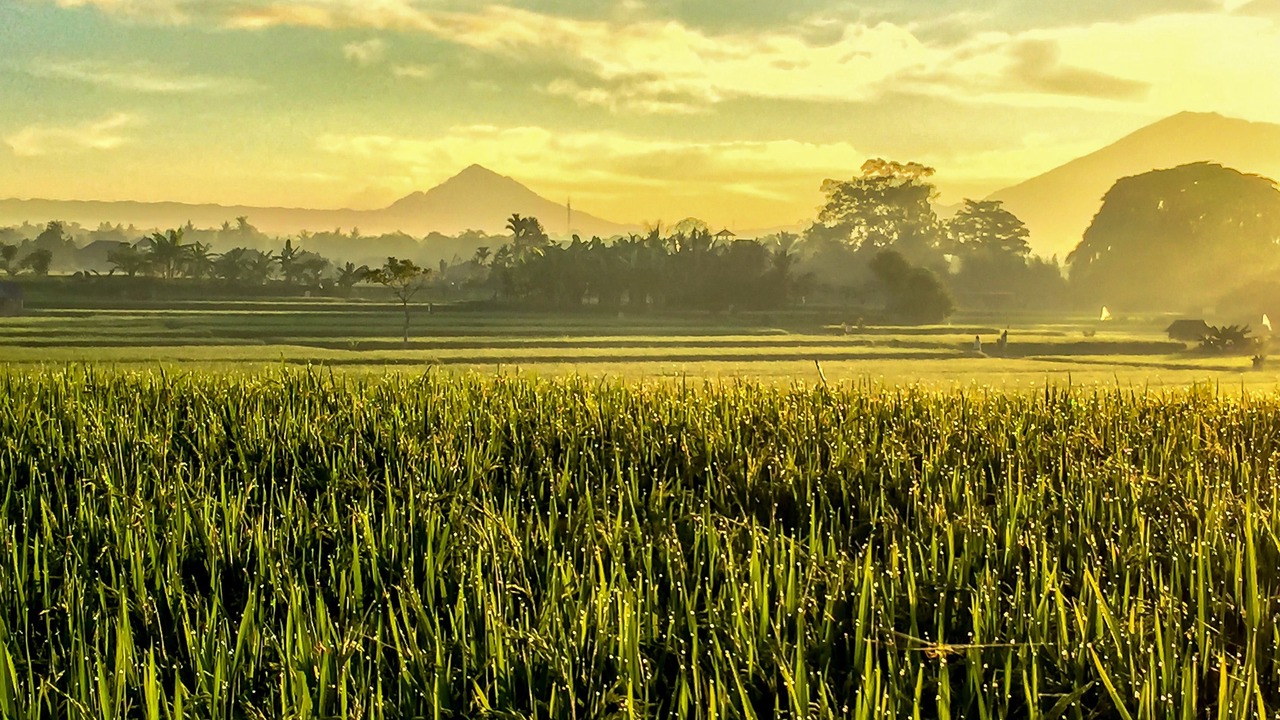 Photo of Outdoor in Penestanan
