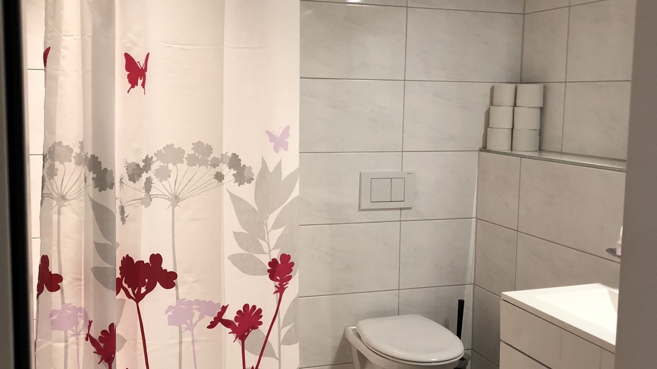 Photo of Bathroom in Albisrieden