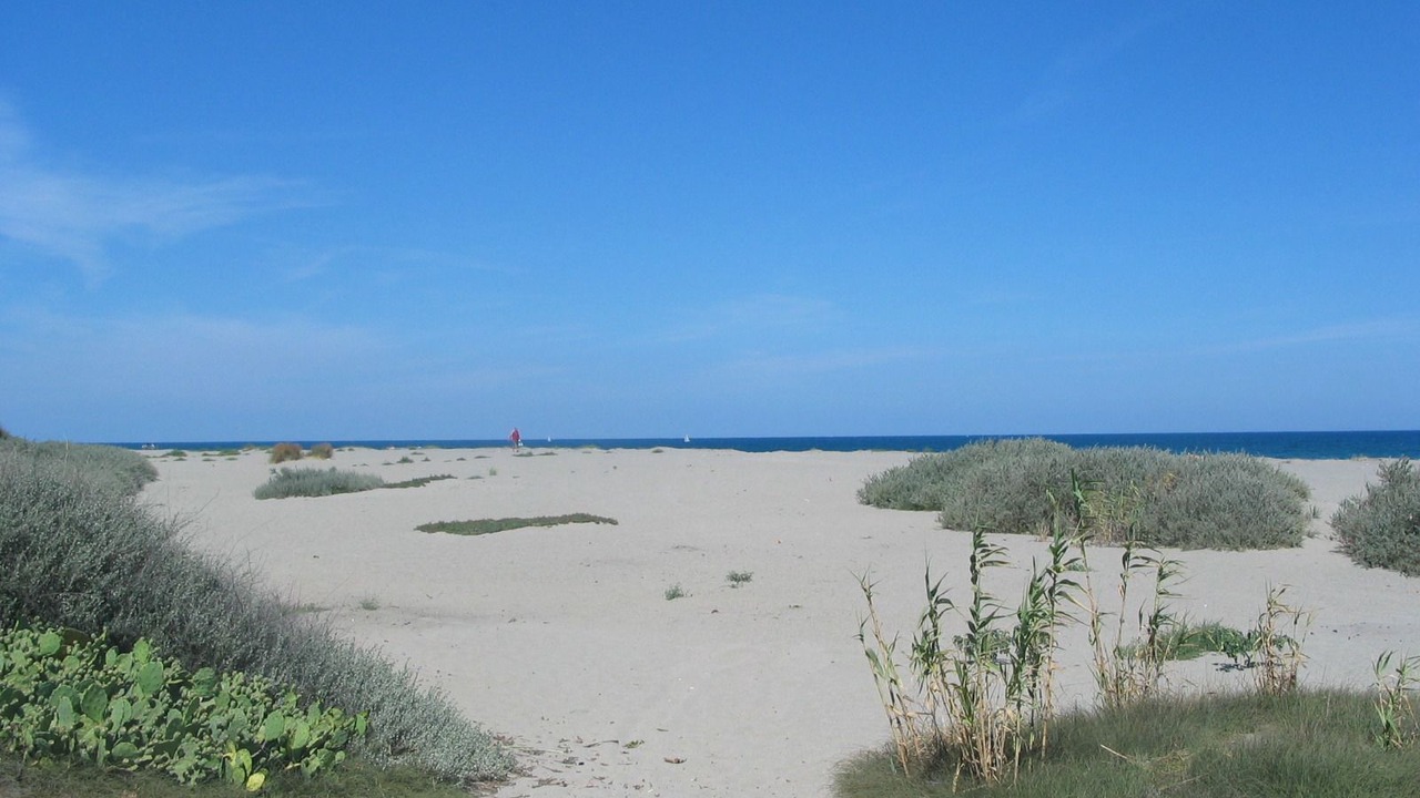 Photo of Others in Sainte-Marie-la-Mer