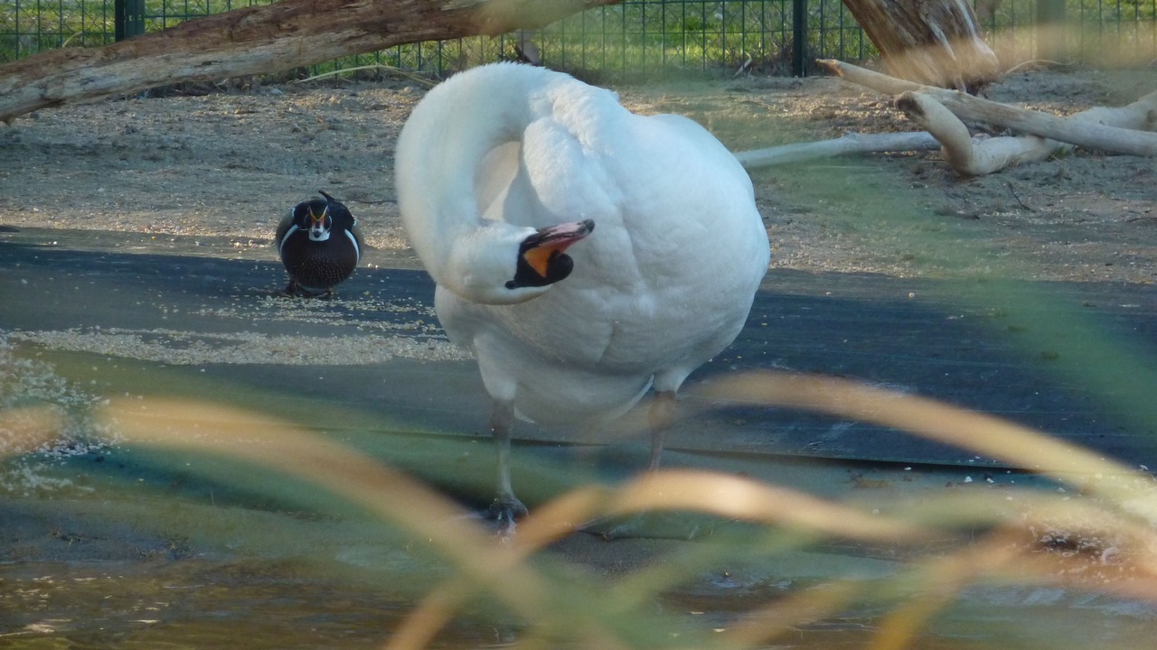 Photo of Outdoor in Sainte-Marie-la-Mer