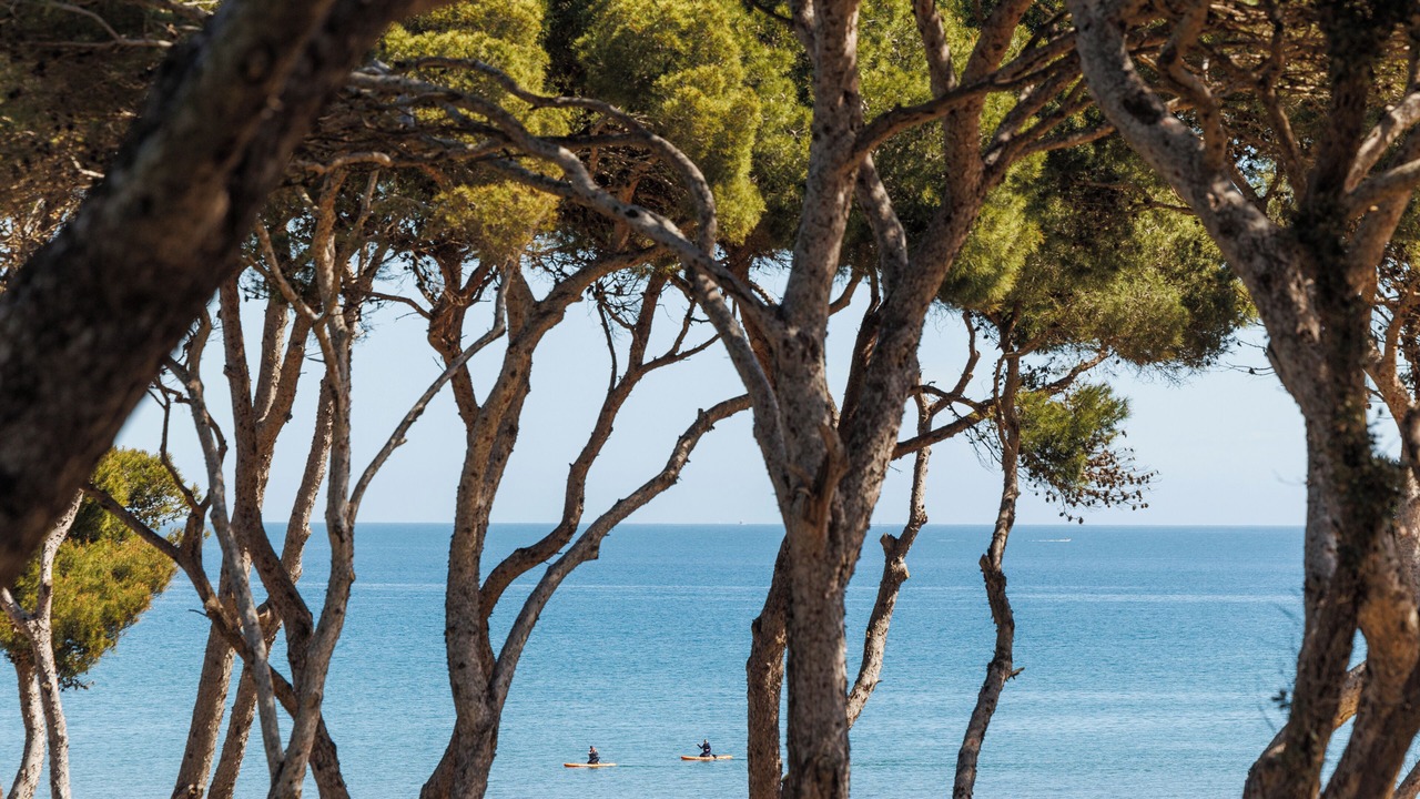 Photo of Outdoor in Giens