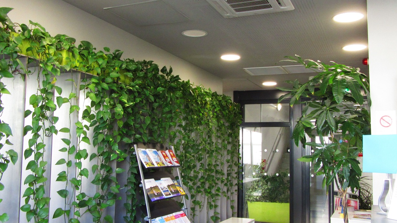 Photo of Others in Lormont