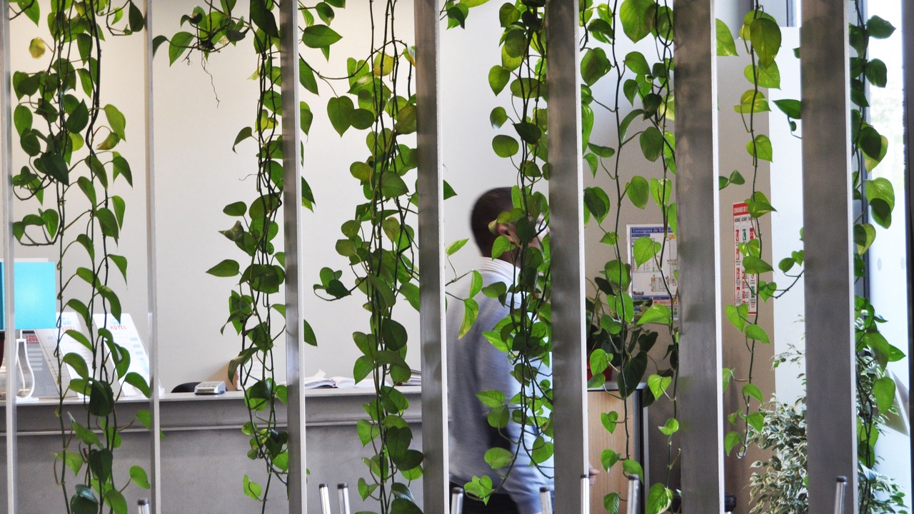 Photo of Others in Lormont