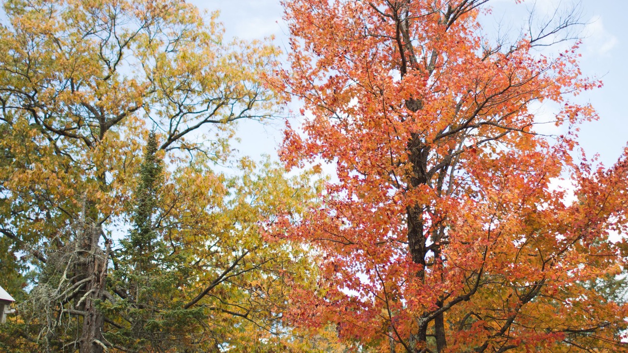 Photo of Outdoor in Ashland