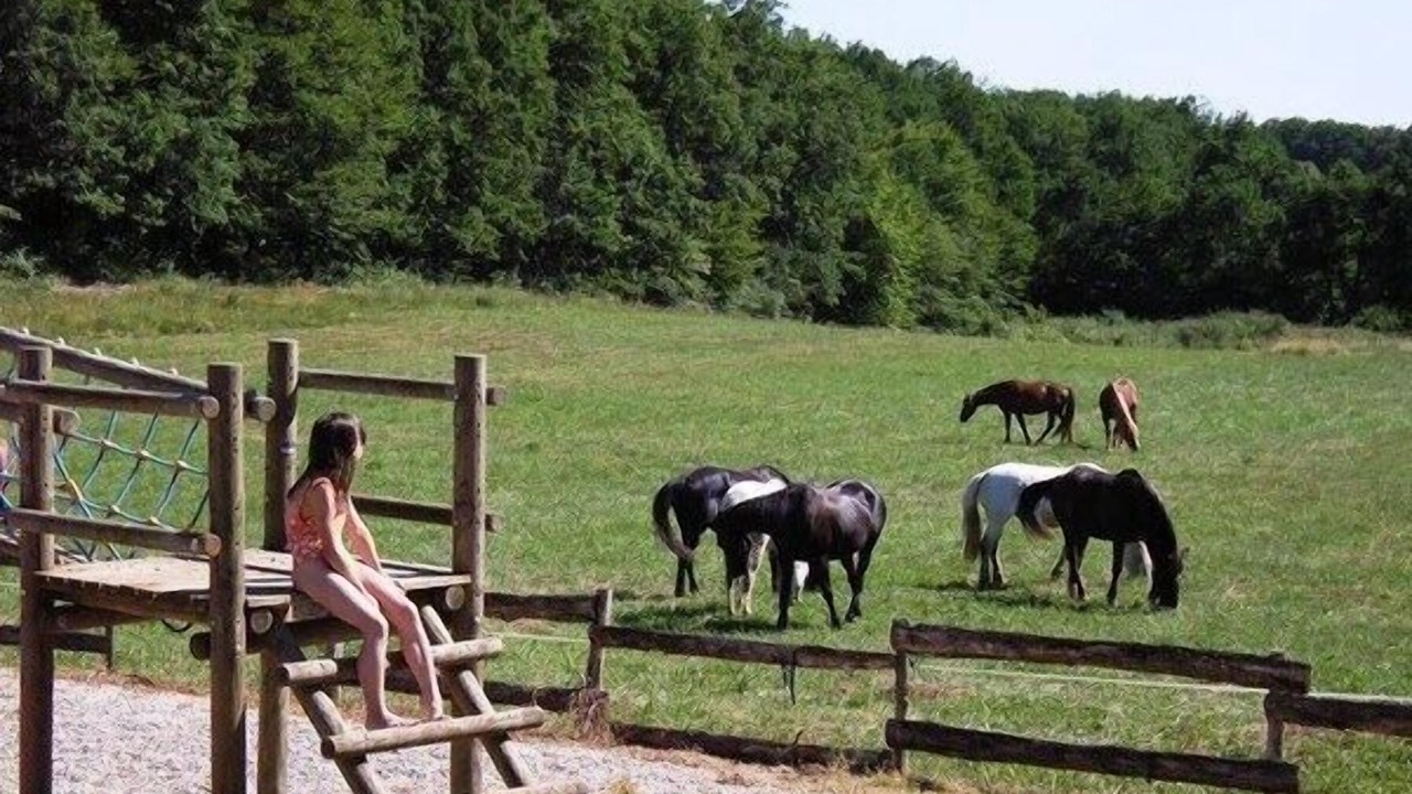 Photo of Others in Gavaudun