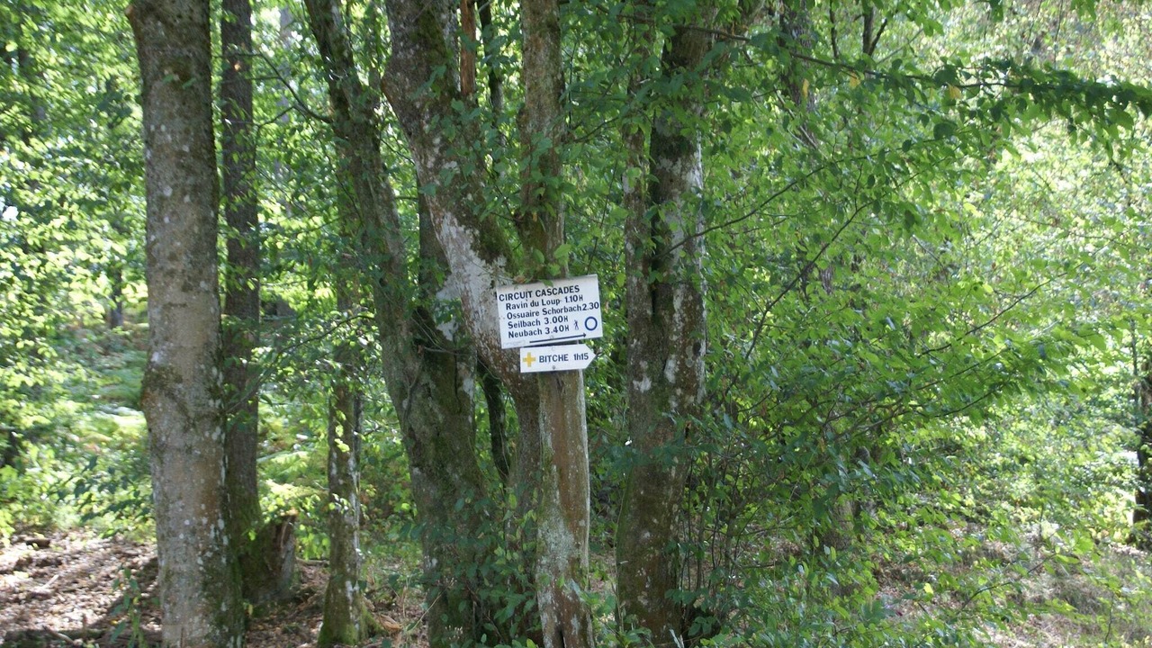 Photo of Others in Hanviller