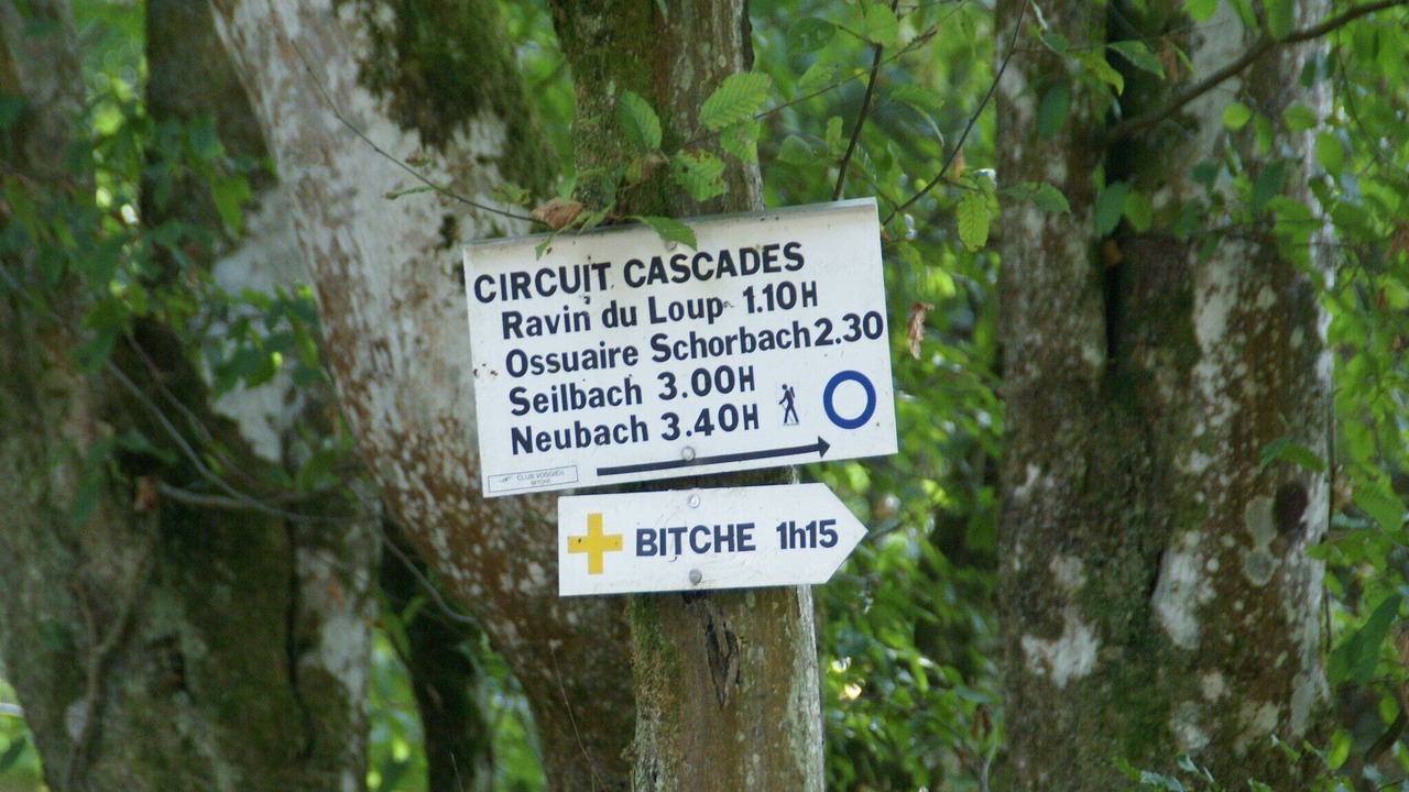 Photo of Others in Hanviller