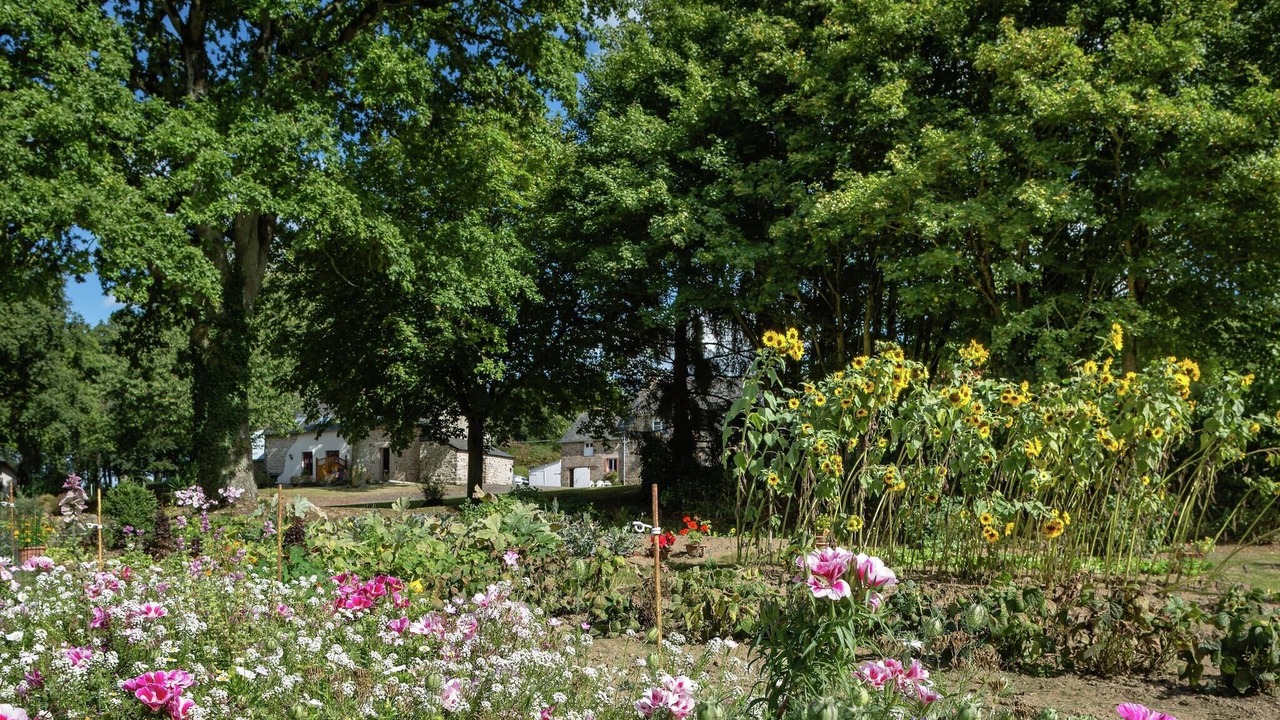 Photo of Outdoor in Bonnemain