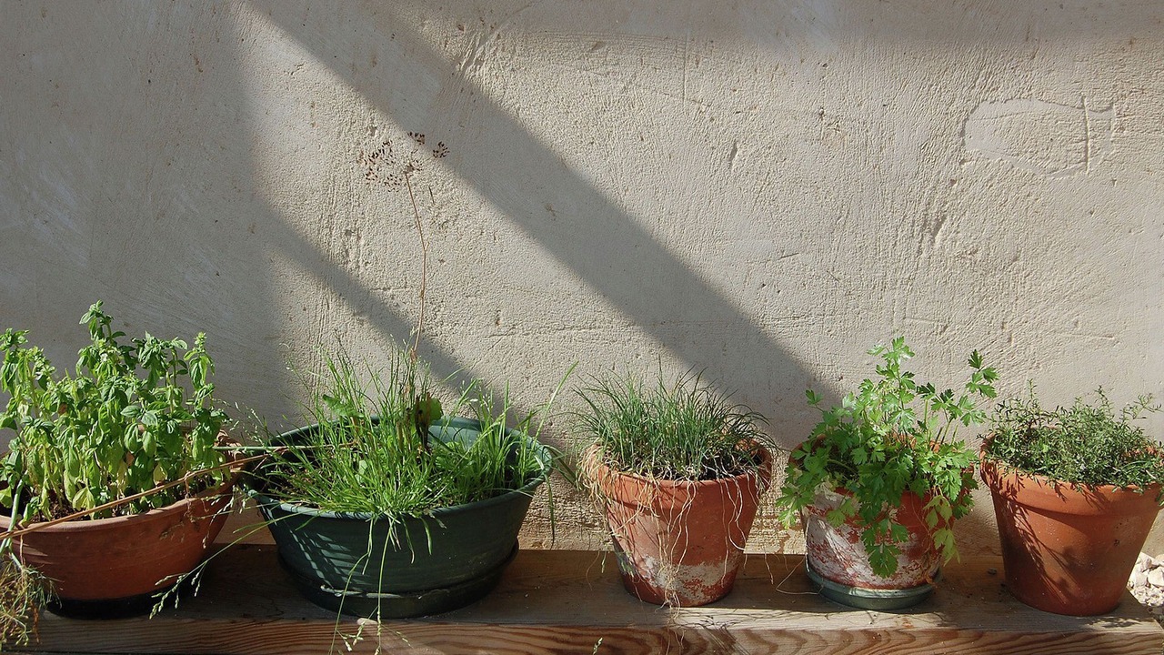 Photo of Outdoor in Montadet