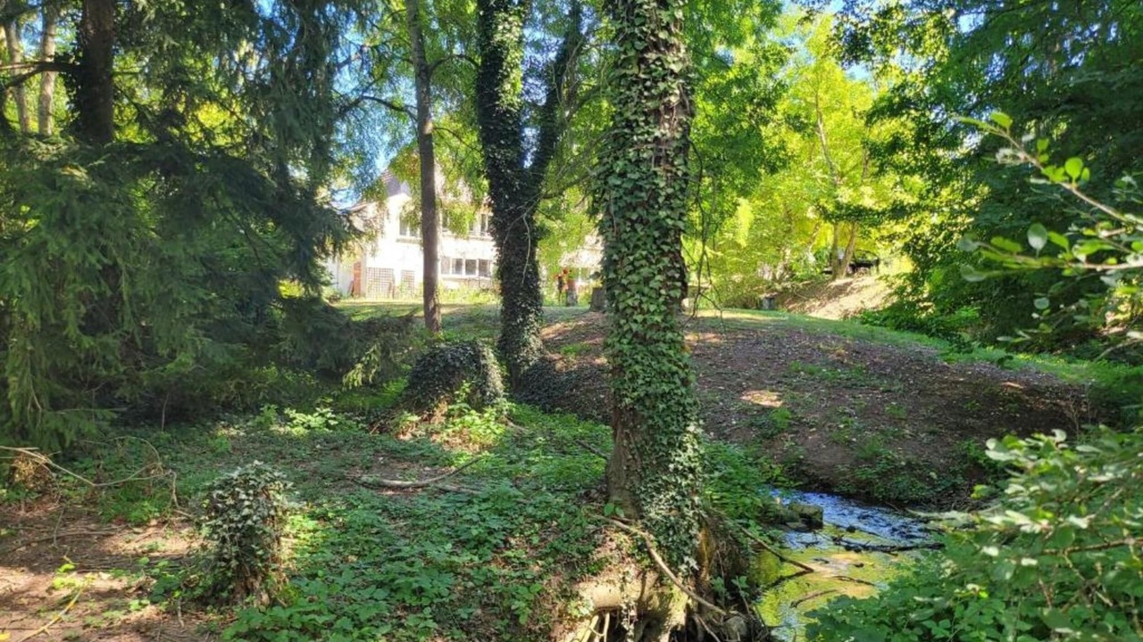 Photo of Others in Saint-Eutrope-de-Born