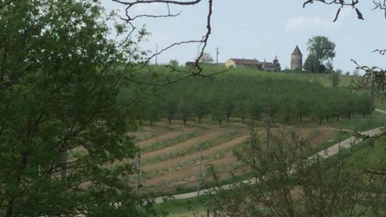 Photo of Others in Saint-Eutrope-de-Born