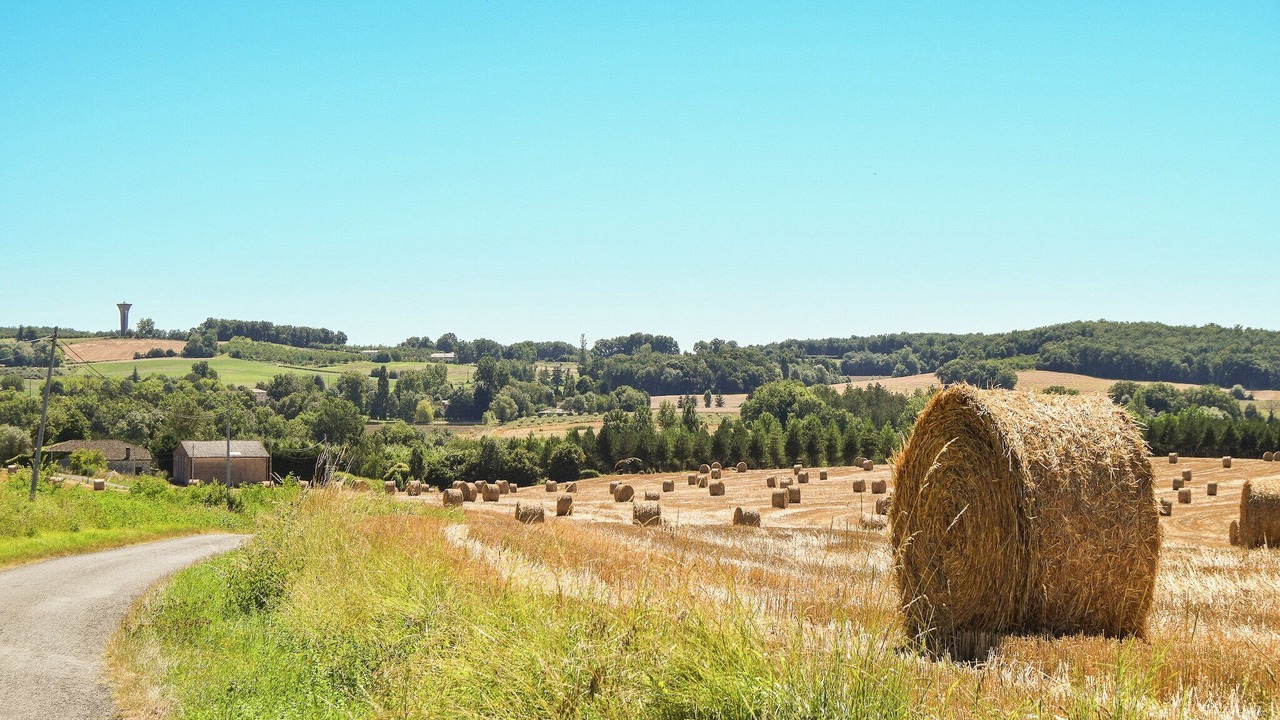 Photo of Others in Saint-Eutrope-de-Born