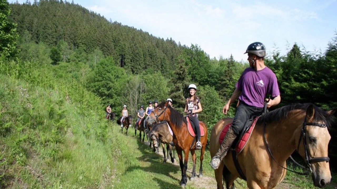 Photo of Others in Le Thillot