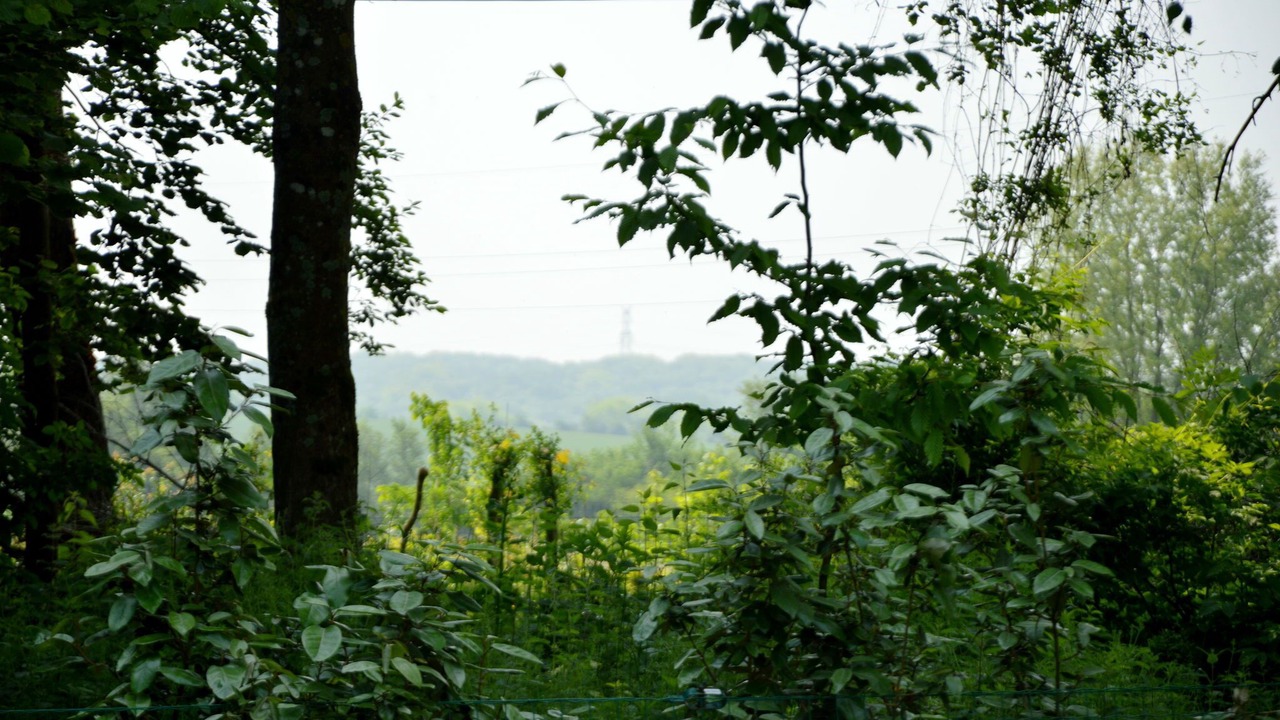 Photo of Others in Wierre-Effroy
