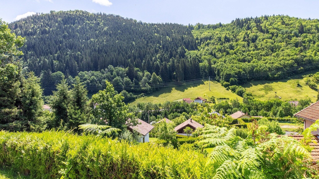 Photo of Others in Travexin