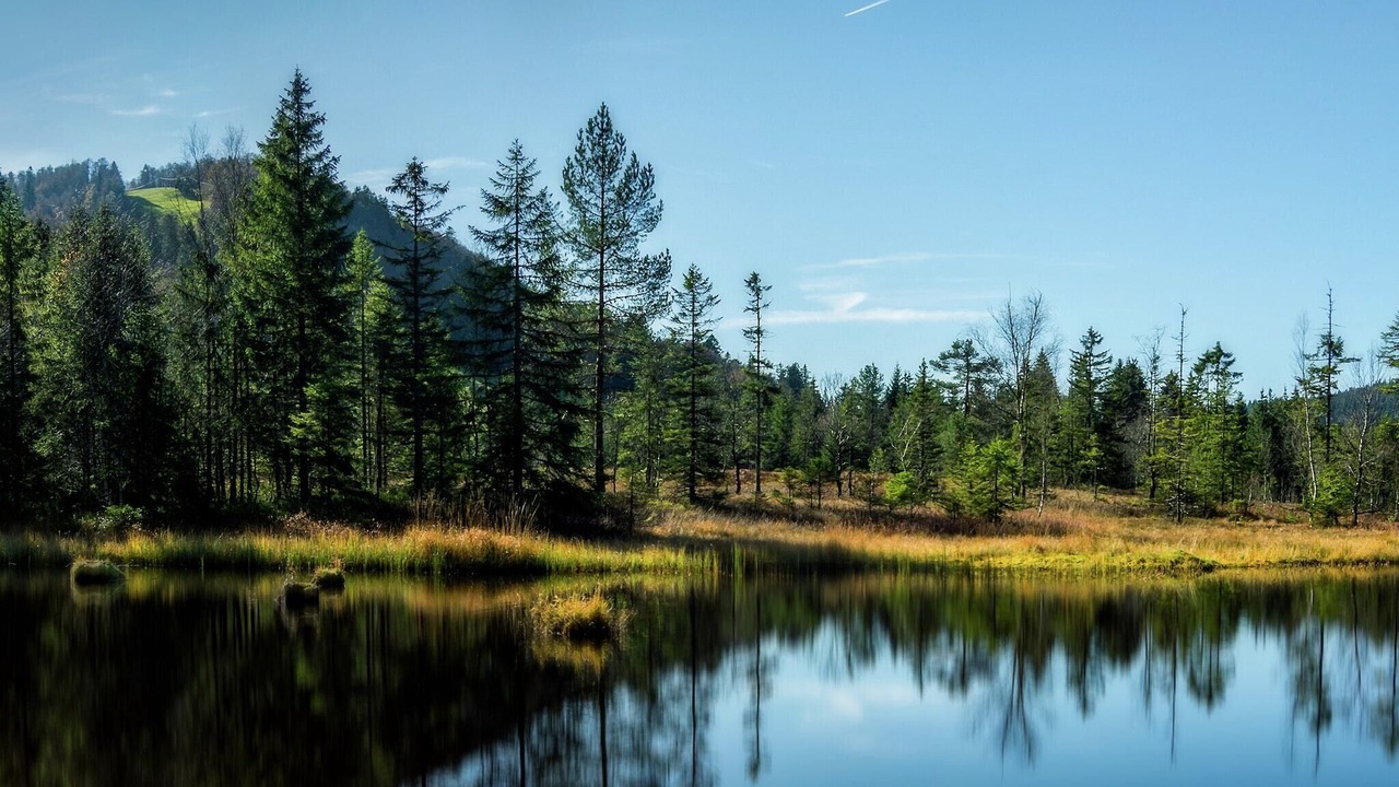 Photo of Others in Travexin