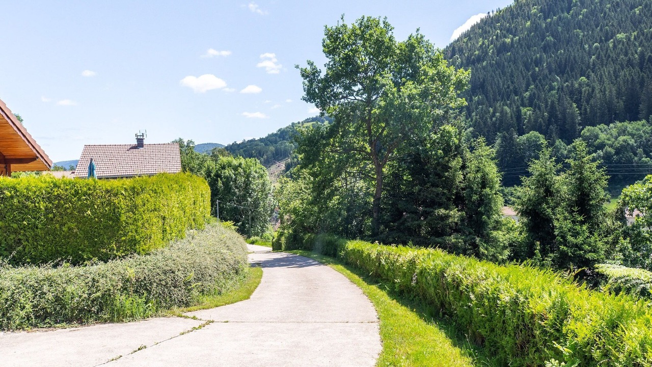 Photo of Others in Travexin