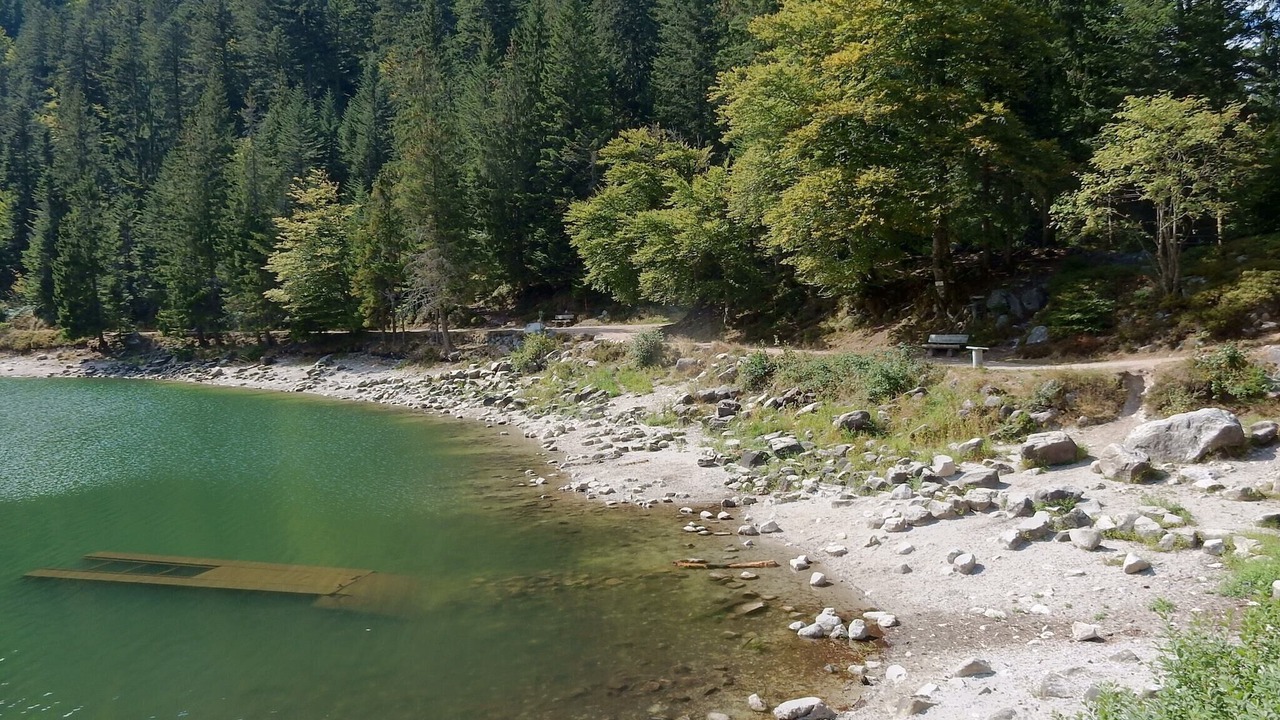 Photo of Others in Travexin