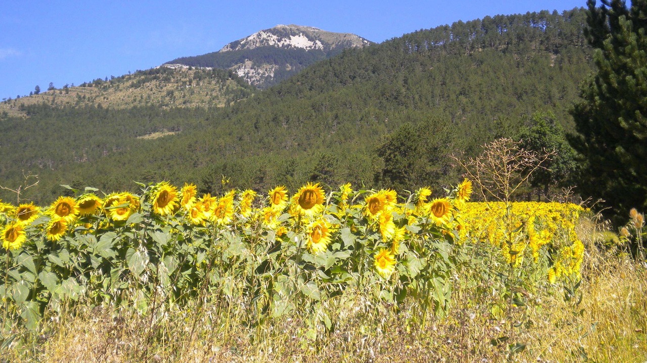 Photo of Others in Marignac-en-Diois