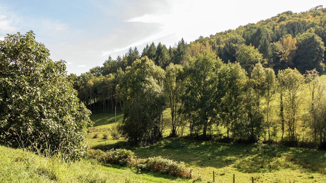 Photo of Others in Serilhac