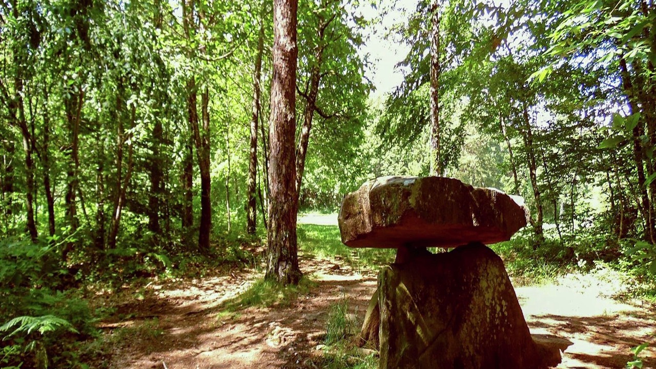 Photo of Others in Serilhac