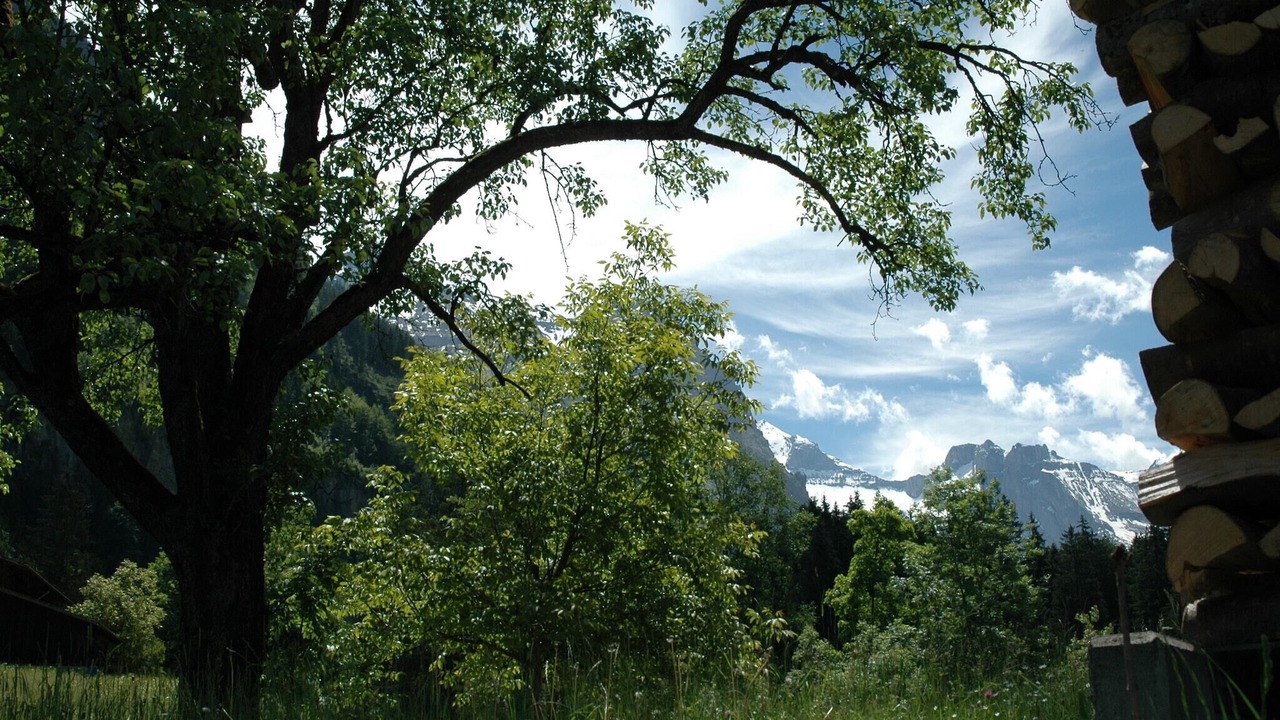 Photo of Others in Blausee