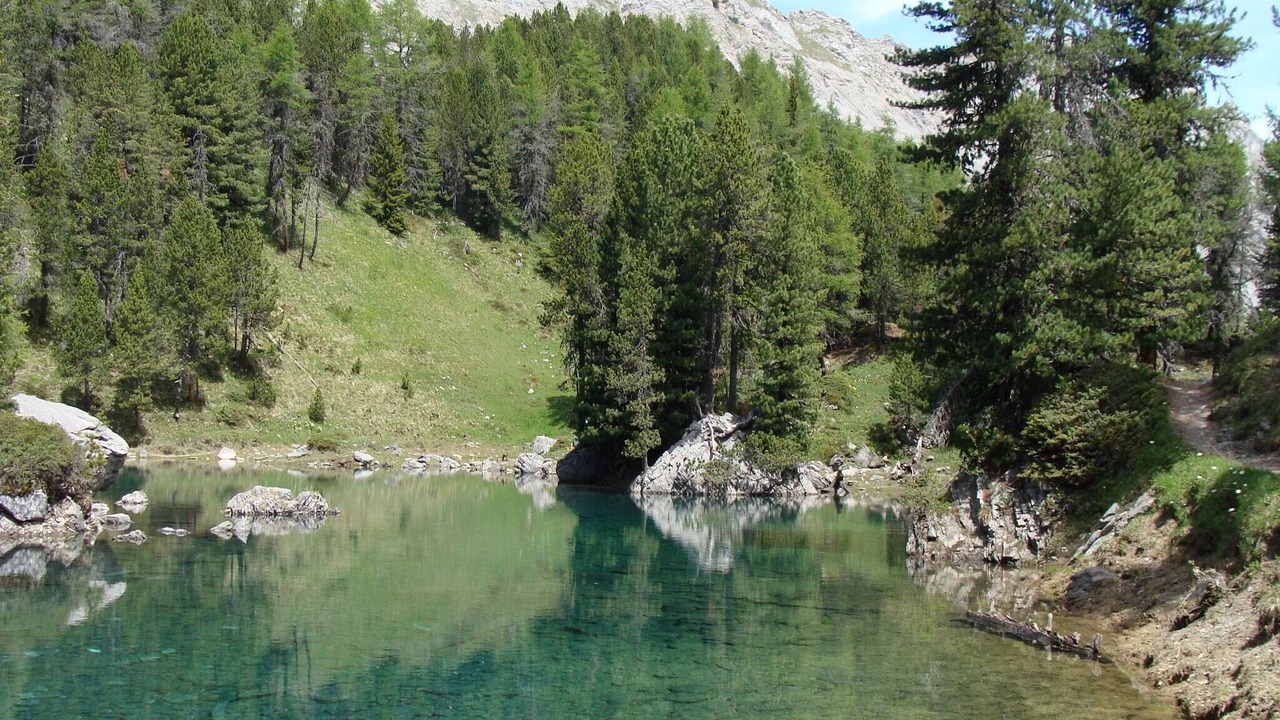 Photo of Others in Blausee