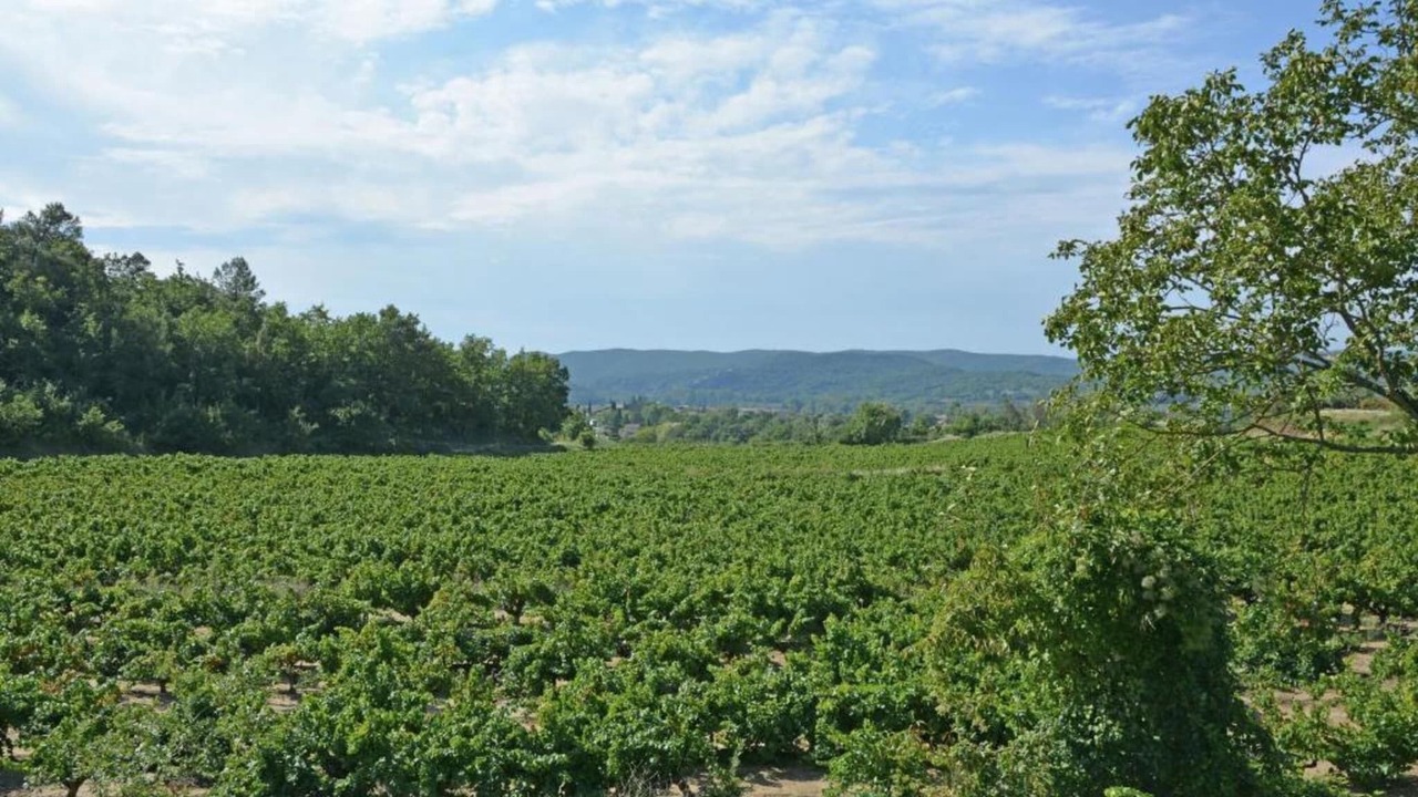 Photo of Others in Saint-Laurent-de-Carnols