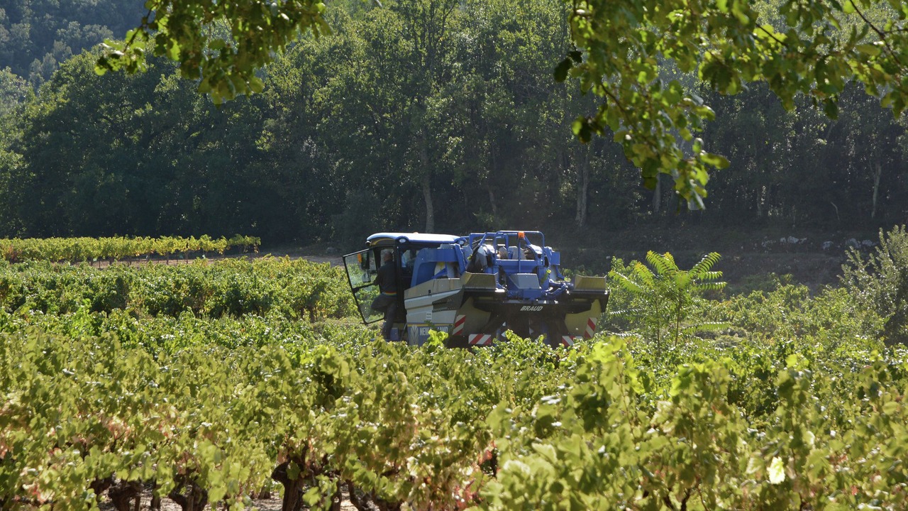 Photo of Others in Saint-Laurent-de-Carnols