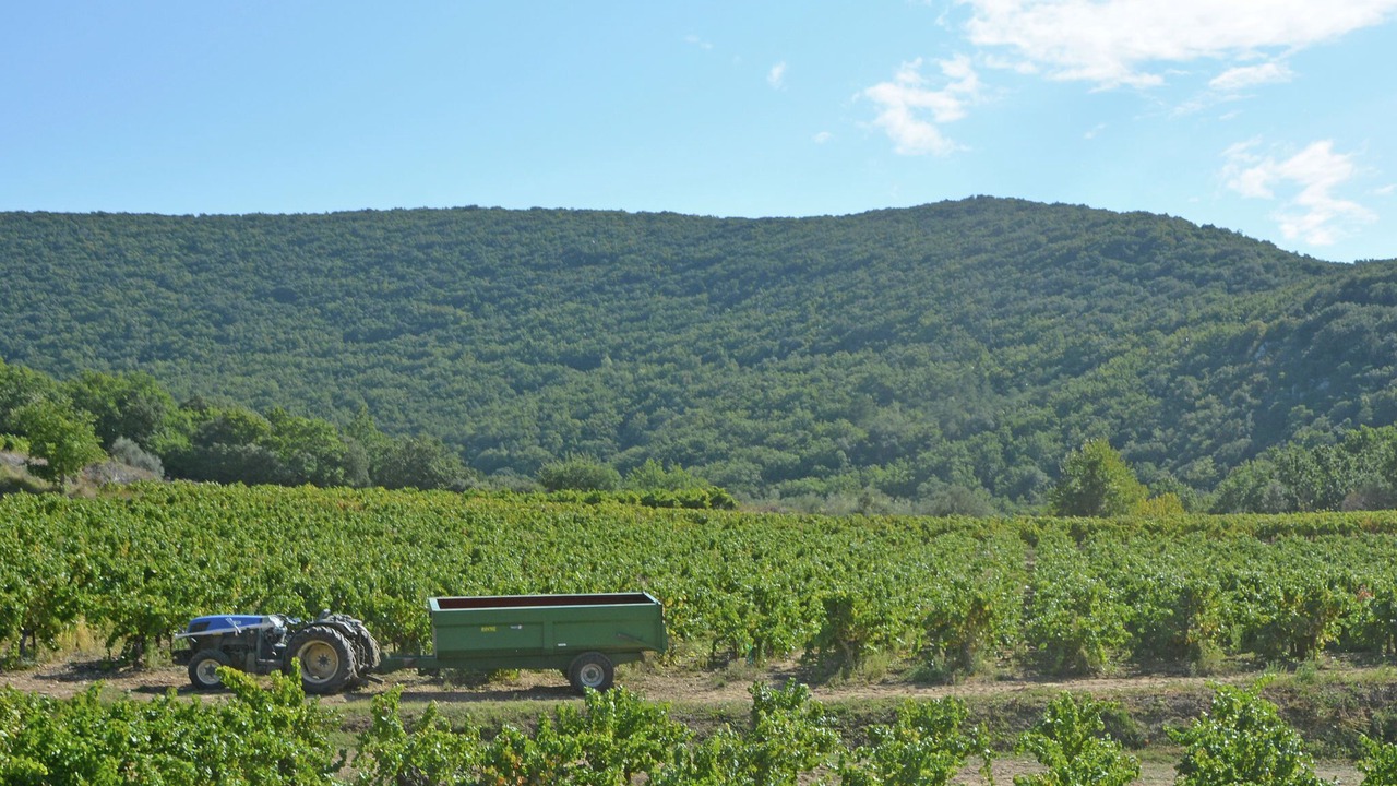 Photo of Others in Saint-Laurent-de-Carnols