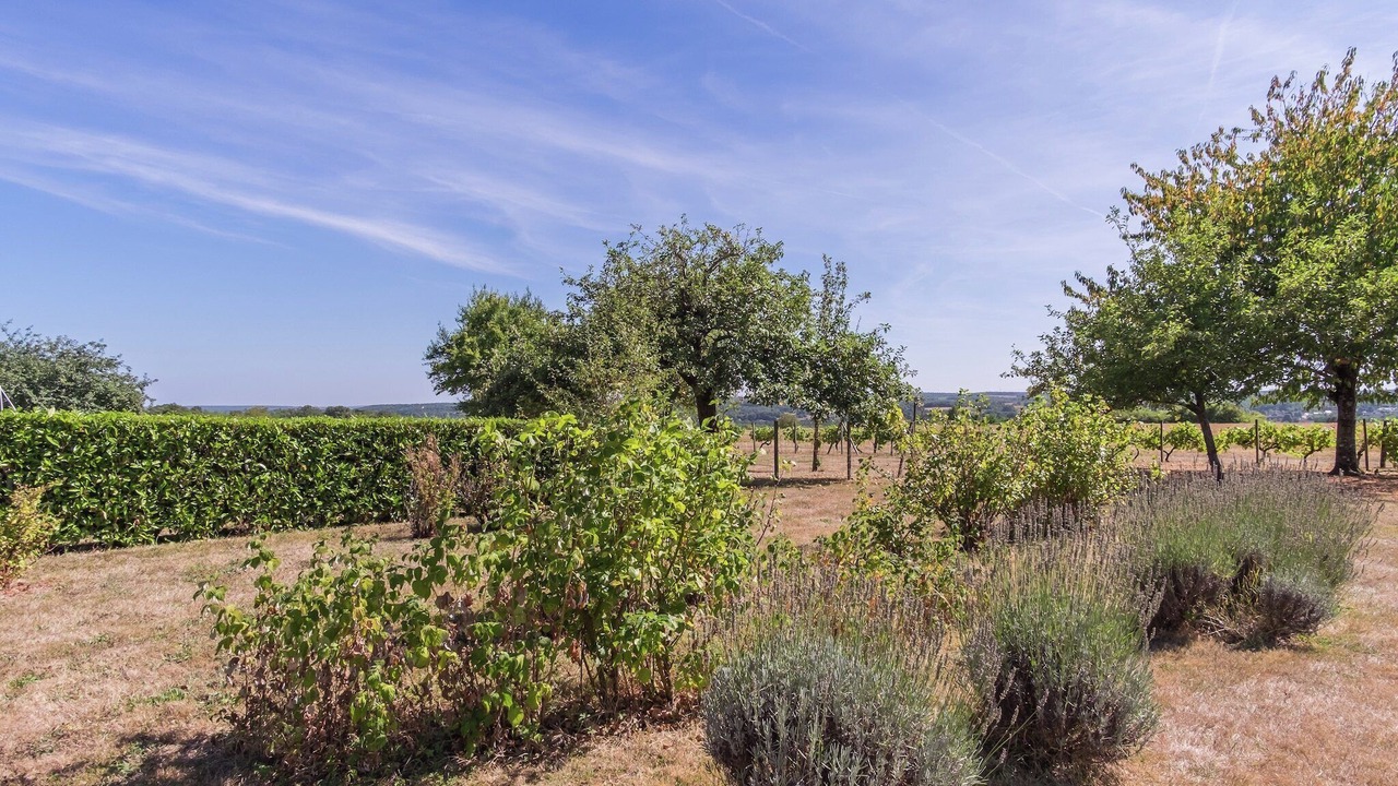 Photo of Others in Montrichard