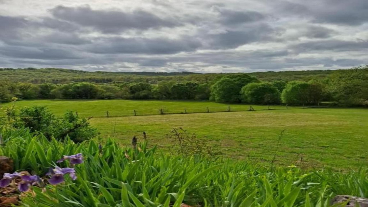 Photo of Others in Thedirac