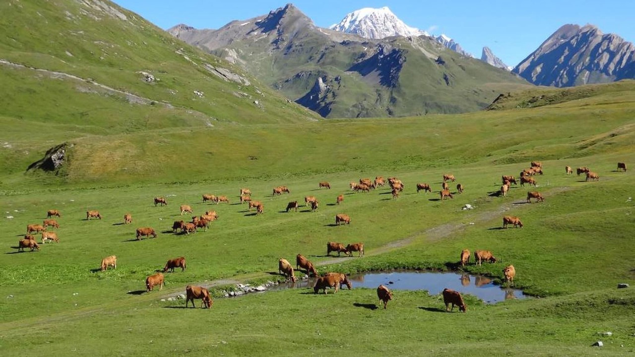 Photo of Others in La Rosiere