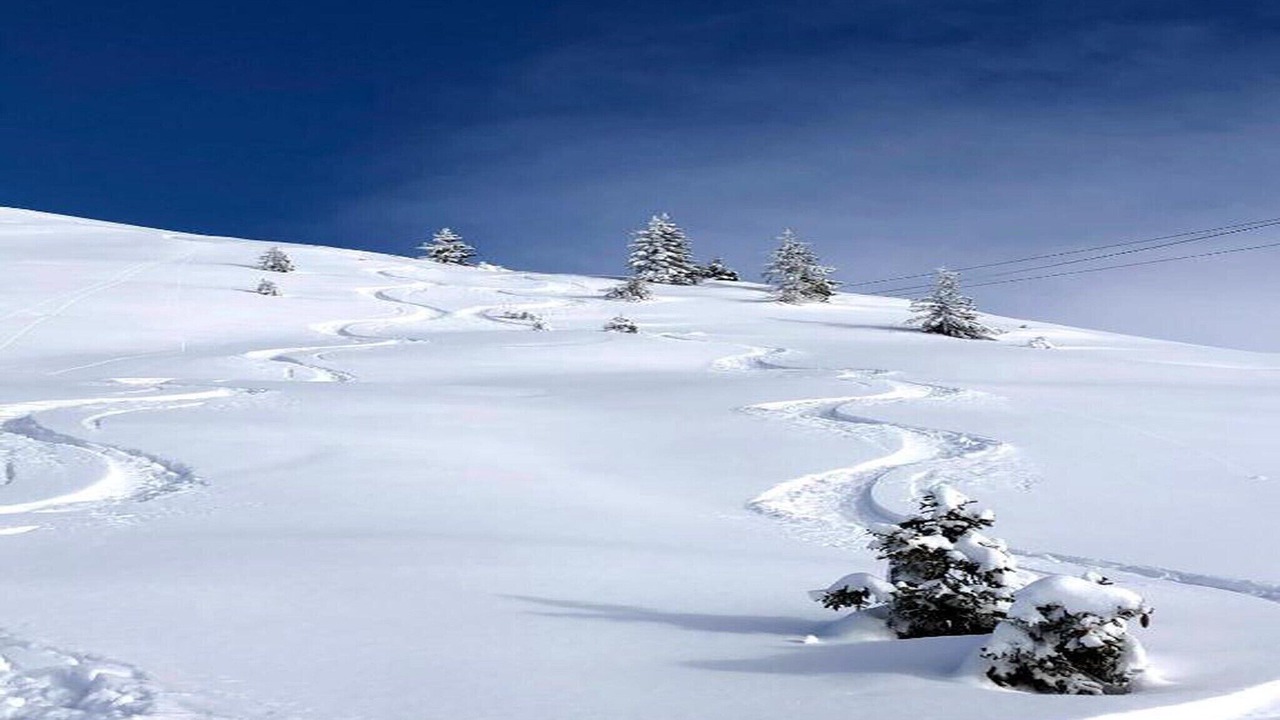 Photo of Others in La Rosiere