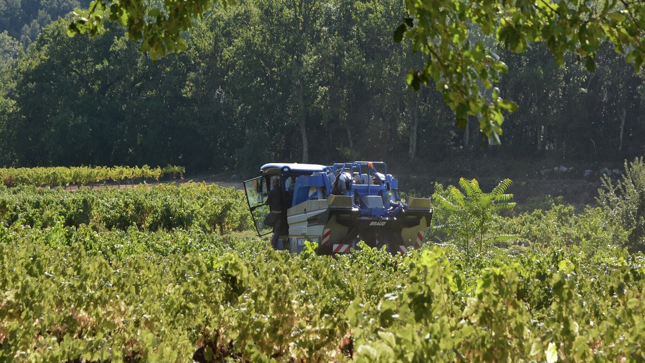 Photo of Others in Saint-Bres