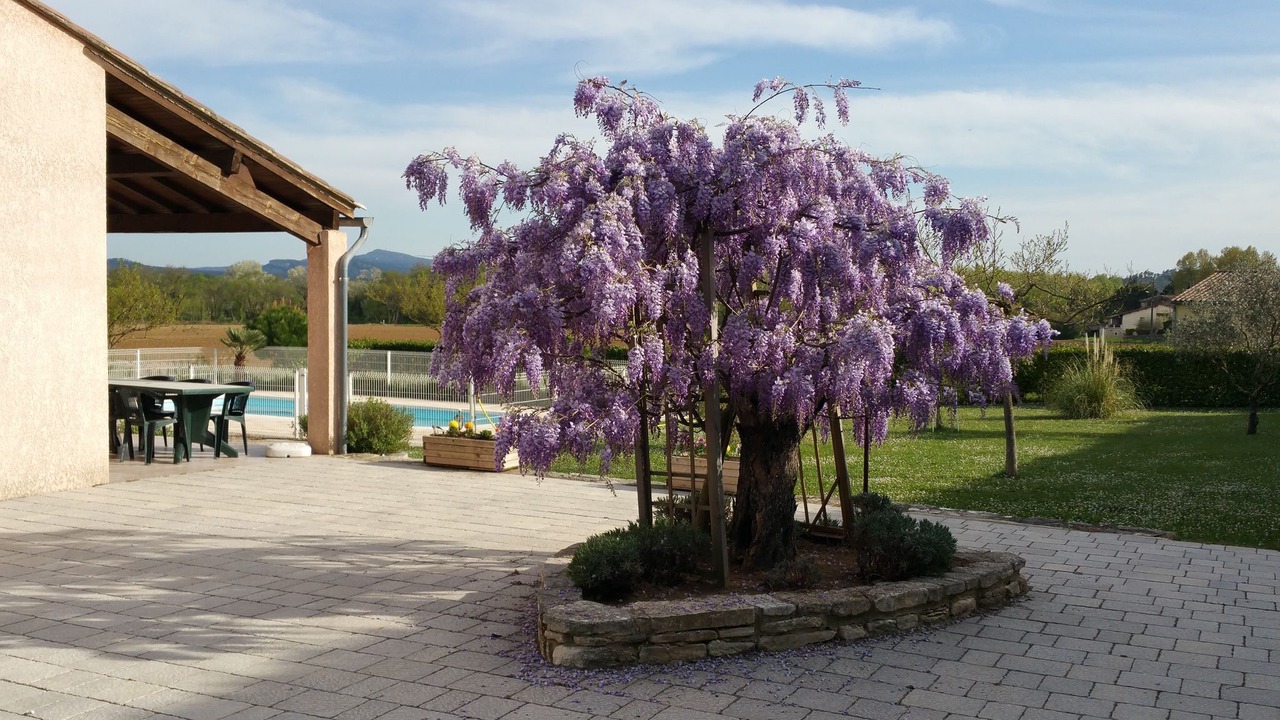 Photo of Outdoor in Saint-Victor-de-Malcap