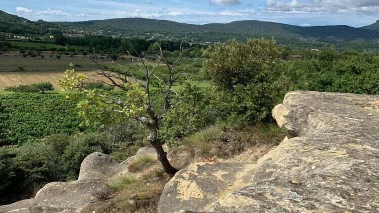 Photo of Others in Malaucene