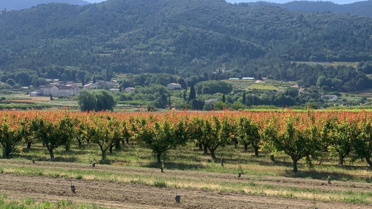 Photo of Others in Malaucene