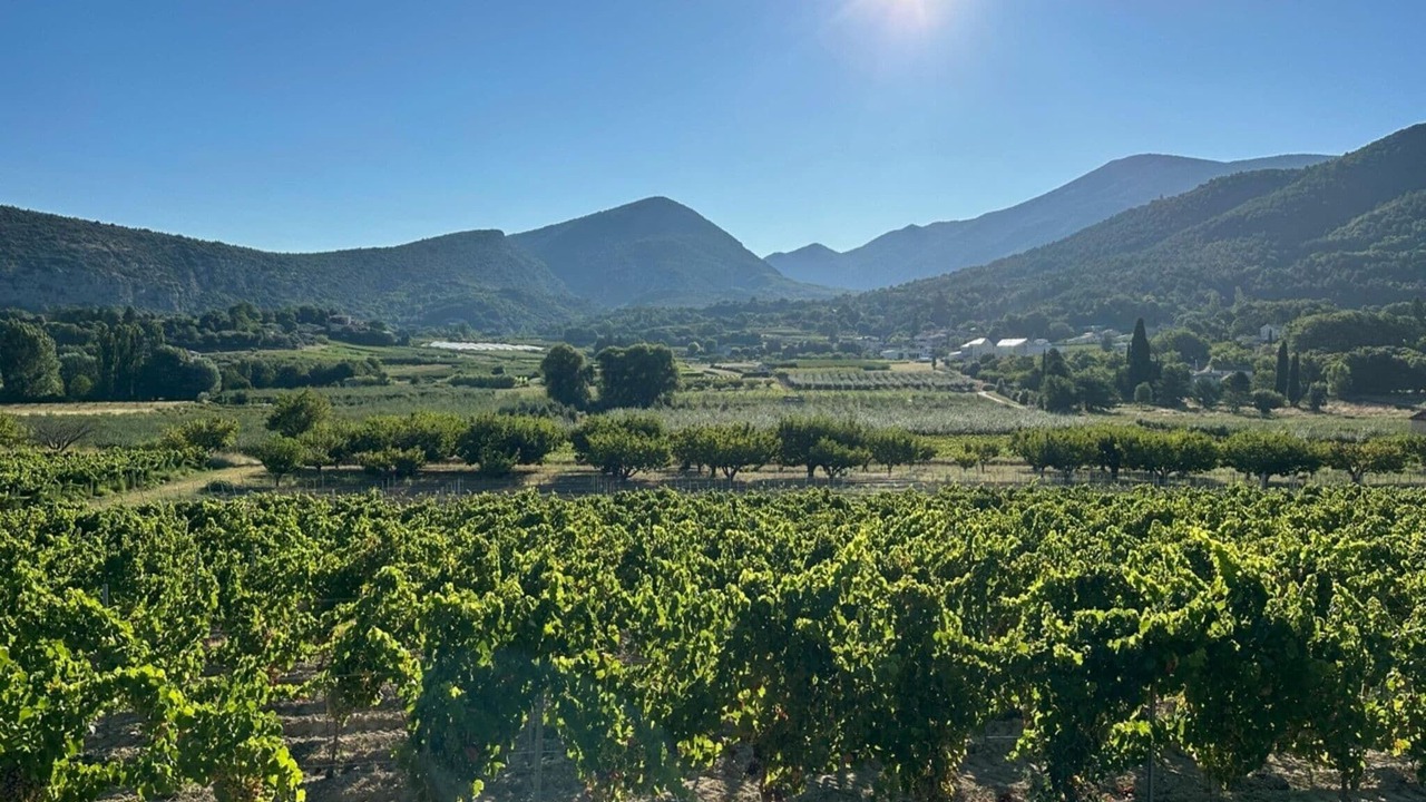 Photo of Others in Malaucene