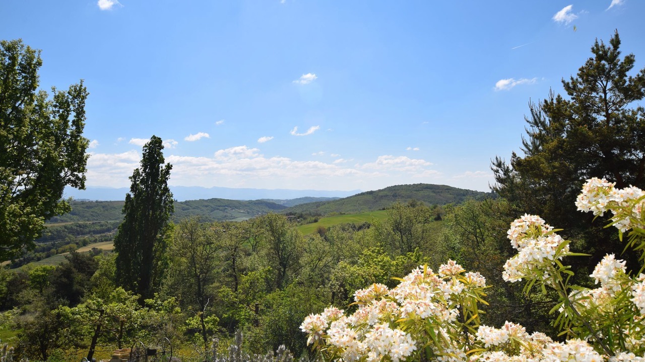 Photo of Others in Bathernay