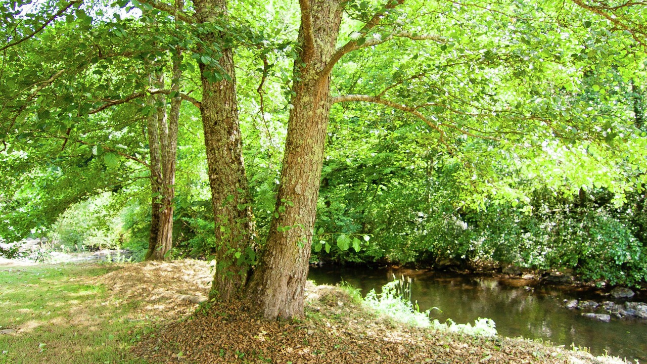 Photo of Outdoor in Saint-Medard-d'Excideuil