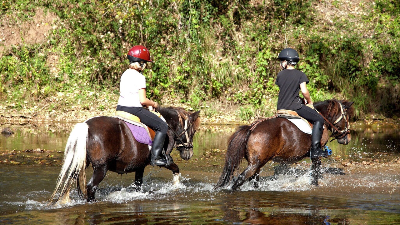Photo of Others in Saint-Medard-d'Excideuil