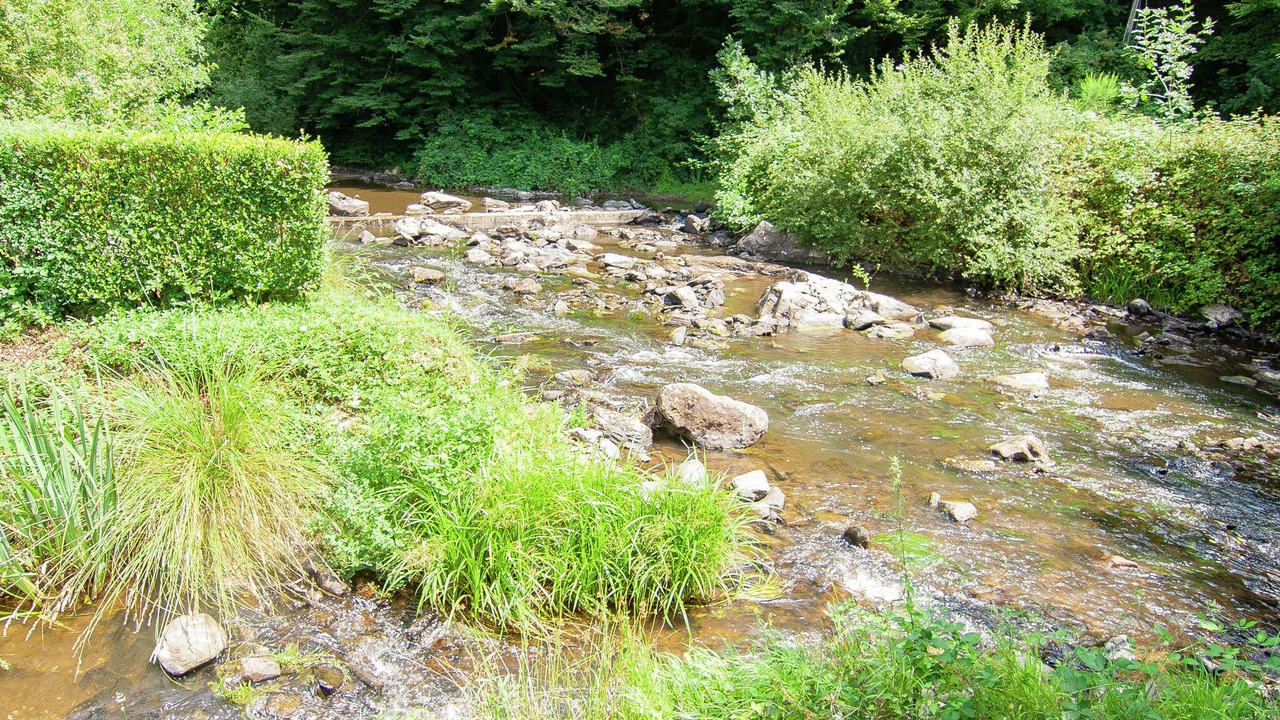 Photo of Others in Saint-Medard-d'Excideuil