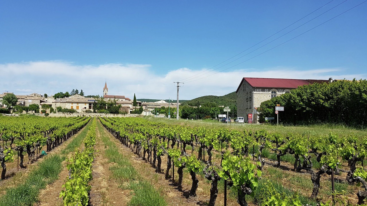 Photo of Others in Saint-Laurent-de-Carnols