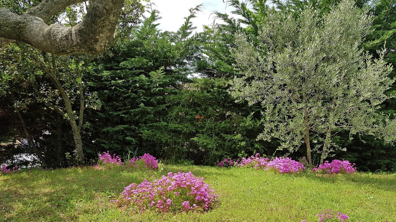 Photo of Outdoor in Saint-Laurent-de-Carnols